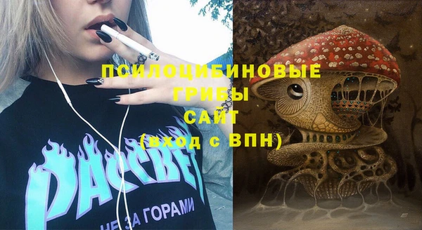 сатива Касимов