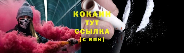 сатива Касимов