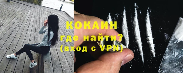 сатива Касимов