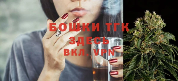 сатива Касимов
