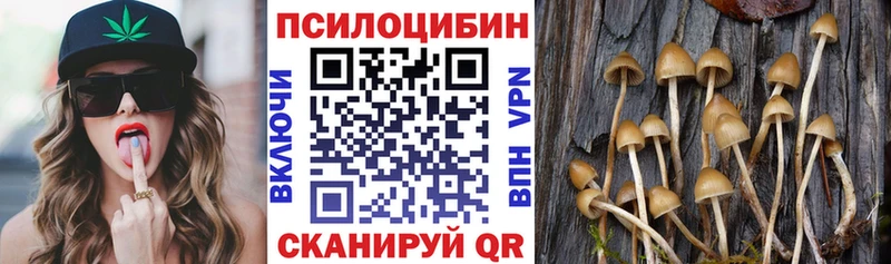 Псилоцибиновые грибы ЛСД  Купить закладки  Лахденпохья 